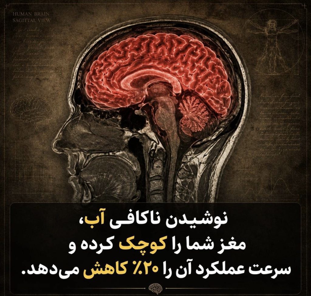 آیا میدانستید مغز سالمندان نسبت به کمآبی بدن حساستر است؟! آیا میدانستید مغز سالمندان نسبت به کمآبی بدن حساستر است؟!